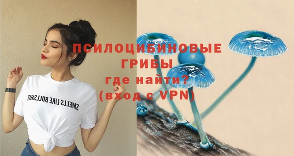 a pvp Арсеньев
