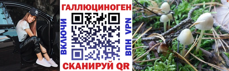 где купить наркоту  даркнет наркотические препараты  Галлюциногенные грибы MAGIC MUSHROOMS  Балашов 