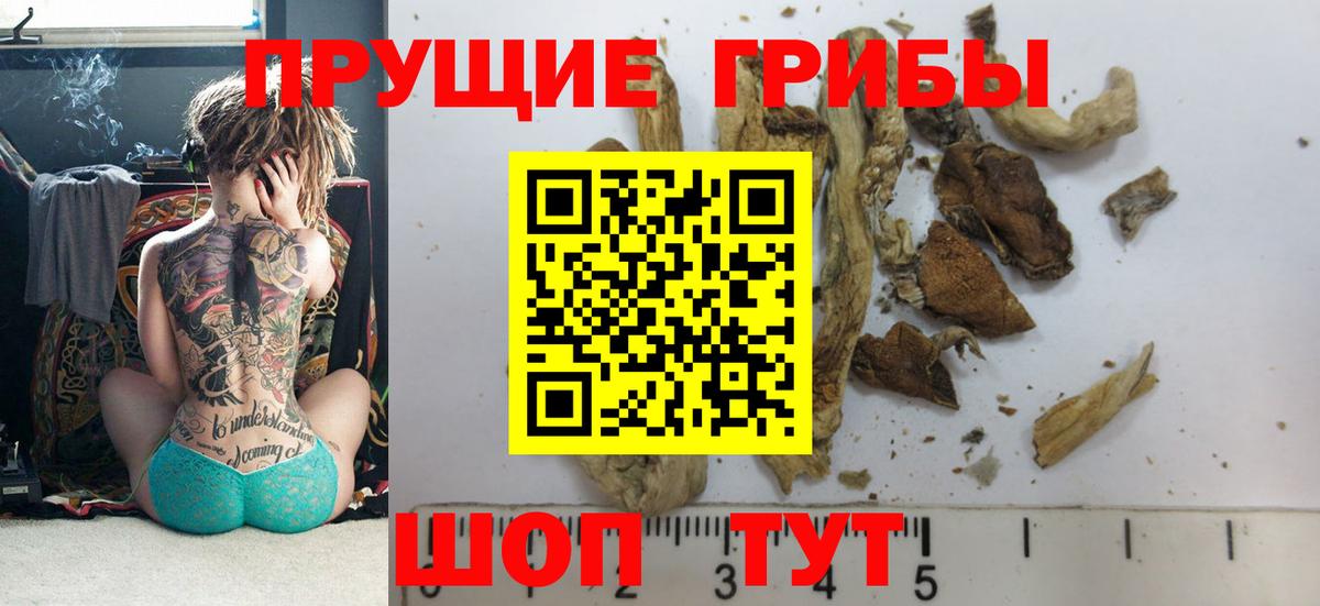 где продают   Галлюциногенные грибы ЛСД  Вход с VPN  Балашов 
